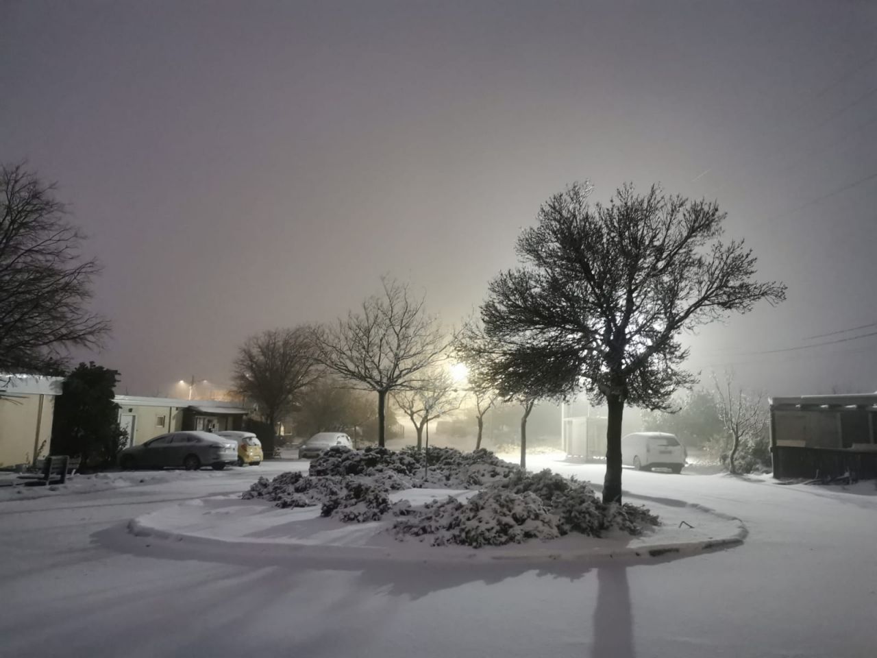 (צילום: פורום ההתיישבות הצעירה)